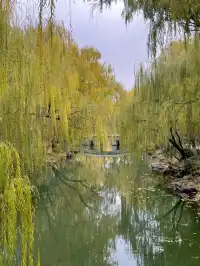 老舍：上帝把秋和冬全賜給了濟南