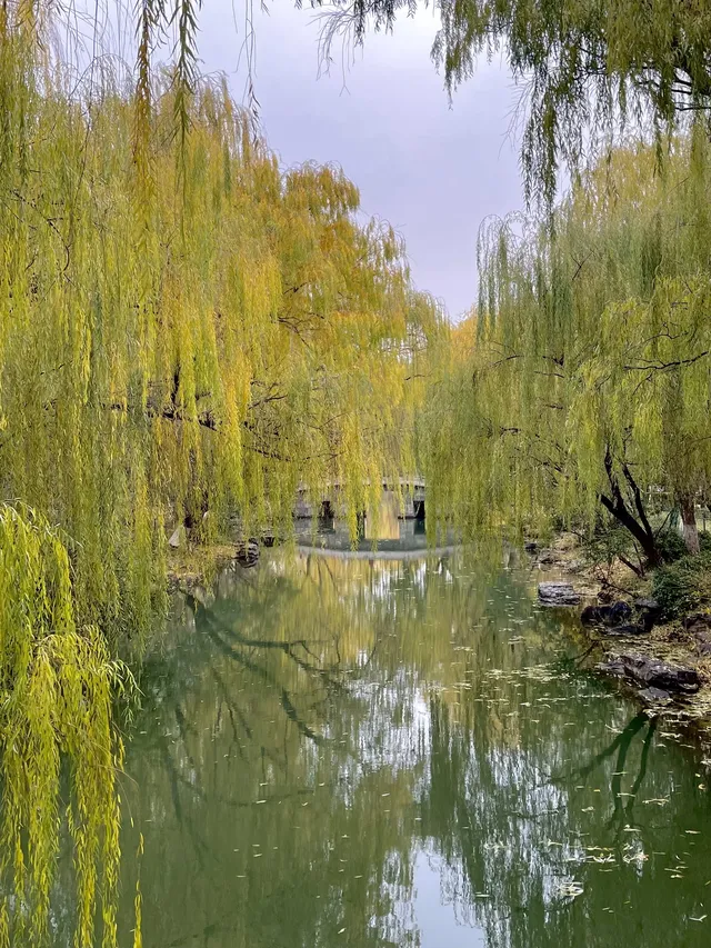 老舍：上帝把秋和冬全賜給了濟南