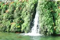 我終於來到了龍門石窟