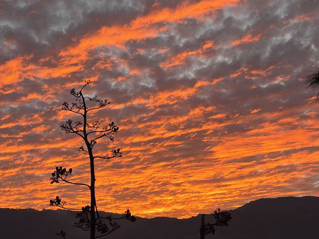 雲南日落限定|這些地方的晚霞美到窒息 在雲南最浪漫的事就是奔向日落!高原特有的澄澈天空遇上火燒雲 雲南日落限定|這些地方的晚霞美到窒息 在雲南最浪漫的事就是奔向日落!高原特有的澄澈天空遇上火燒雲