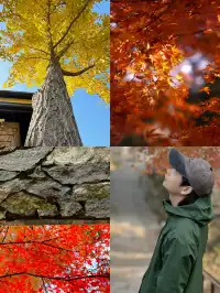 12月的莫干山美到失語徒步百年古道