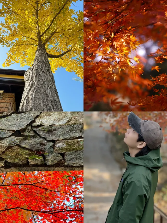 12月的莫干山美到失語徒步百年古道 12月的莫干山美到失語徒步百年古道