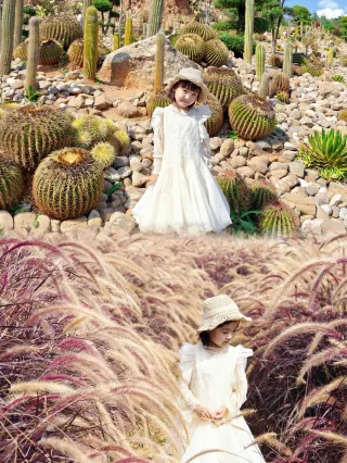 Mile Dongfeng Yun, No Regrets