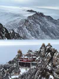 下雪天的老君山怎麼人更多呢?