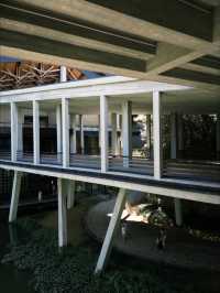 杭州國家版本館｜藏在良渚的中式美學天花板