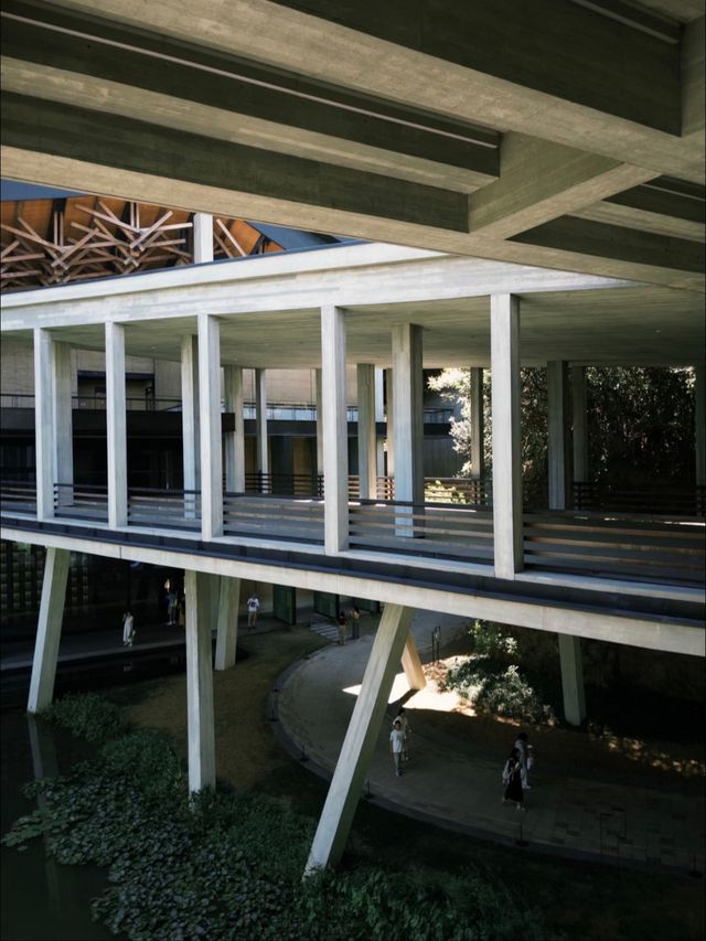 杭州國家版本館｜藏在良渚的中式美學天花板