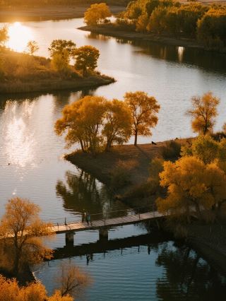 โลกแห่งเทพนิยายฤดูใบไม้ร่วงของมณฑลเจียงซู! ป่าชายเลนจินหู ป่าเรดวูด