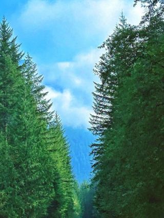 캐나다 천국 금귀산 주립공원 가이드｜하이킹, 캠핑, 보트 타기의 즐거움을 한눈에!