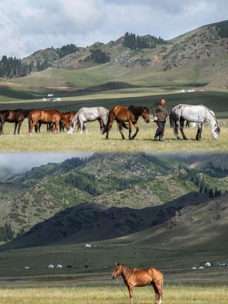 遠い夢がここにあります。セイラム・レイク・ホース・ランチで、この青と緑の美しい景色を体験しに来てください！