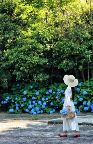 6月の旅行おすすめ｜慈渓達蓬山で夏の山野ロマンスを満喫