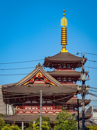 與可愛的家人一起探索淺草淺草寺