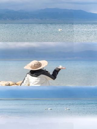 Xinjiang self-drive｜Complete guide to photo spots at Sayram Lake