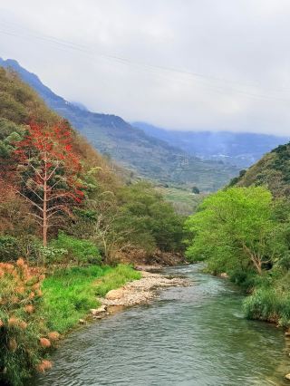 The steel marvel of the Yunnan-Vietnam Railway, and the secrets of the century-old herringbone bridge in the clouds!