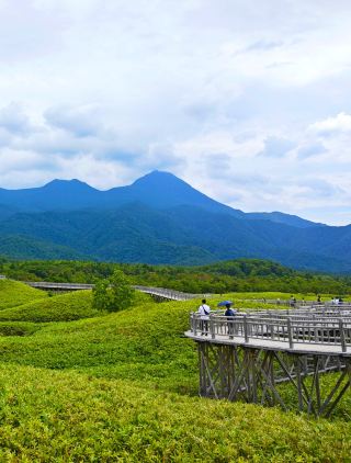 台北的夏天真的太悶熱了,這次決定給自己放個假,去北海道道東避暑。25度的氣溫剛剛好,風吹過來都是涼爽的。

因為我不會開車,原本還擔心交通,結果靠著大眾運輸意外地很順利。我先搭JR到知床斜里,再換公車去宇登呂。在知床的那幾天,真的有種走進原始森林的感覺,空氣裡都是植物的味道。

這次最喜歡阿寒摩周國立公園這一段。搭著夏日限定的觀光公車,一路上看了摩周湖的深藍色湖水,非常安靜神祕。到了阿寒湖,終於看到了特有的綠藻丸(Marimo),圓滾滾的超級可愛,很像什麼動漫裡會出現的森林精靈,忍不住在隨身本子上畫了幾筆。

最後一站是釧路濕原。特地去搭了夏季限定的慢車號火車,車速慢吞吞的,剛好可以看著窗外的濕原景色發呆。回程的時候,剛好在火車上看到夕陽落進濕原,那一瞬間的橘紅色光芒,美到很像動畫裡的場景,心裡覺得特別平靜。

雖然要一直盯著公車和火車的時間表,稍微有點壓力,但不用開車、用自己的步調慢下來看風景,真的很好。回台北之後,還是很想念那裡的涼風。