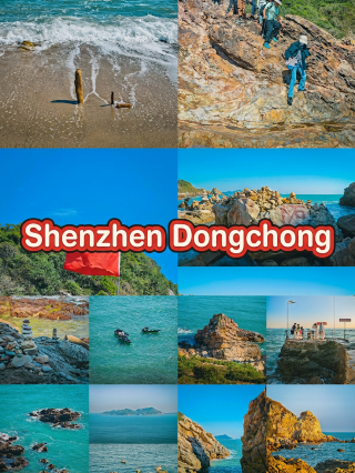 Who knows! Discovered a hidden seaside gem in Shenzhen over the weekend