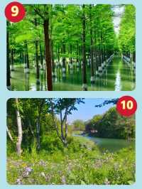 實測3天慢遊，這座城不用趕景點