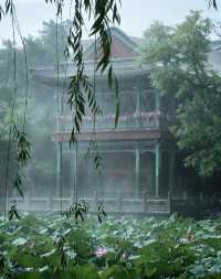 雨落蓮池,赴一場千年書院的水墨清歡