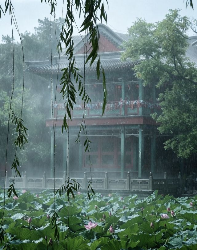 雨落蓮池,赴一場千年書院的水墨清歡