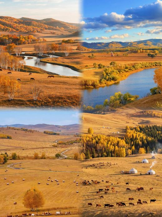 Bashang Grassland is beautiful | But I don't recommend going in October–November to suffer, because it's just too