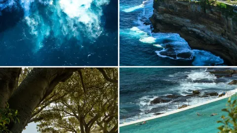 Liburan ke Australia Enaknya Ngapain? Panduan Lengkap Wisata & Aktivitas Seru Ada di Sini! — traveler post in Main Beach