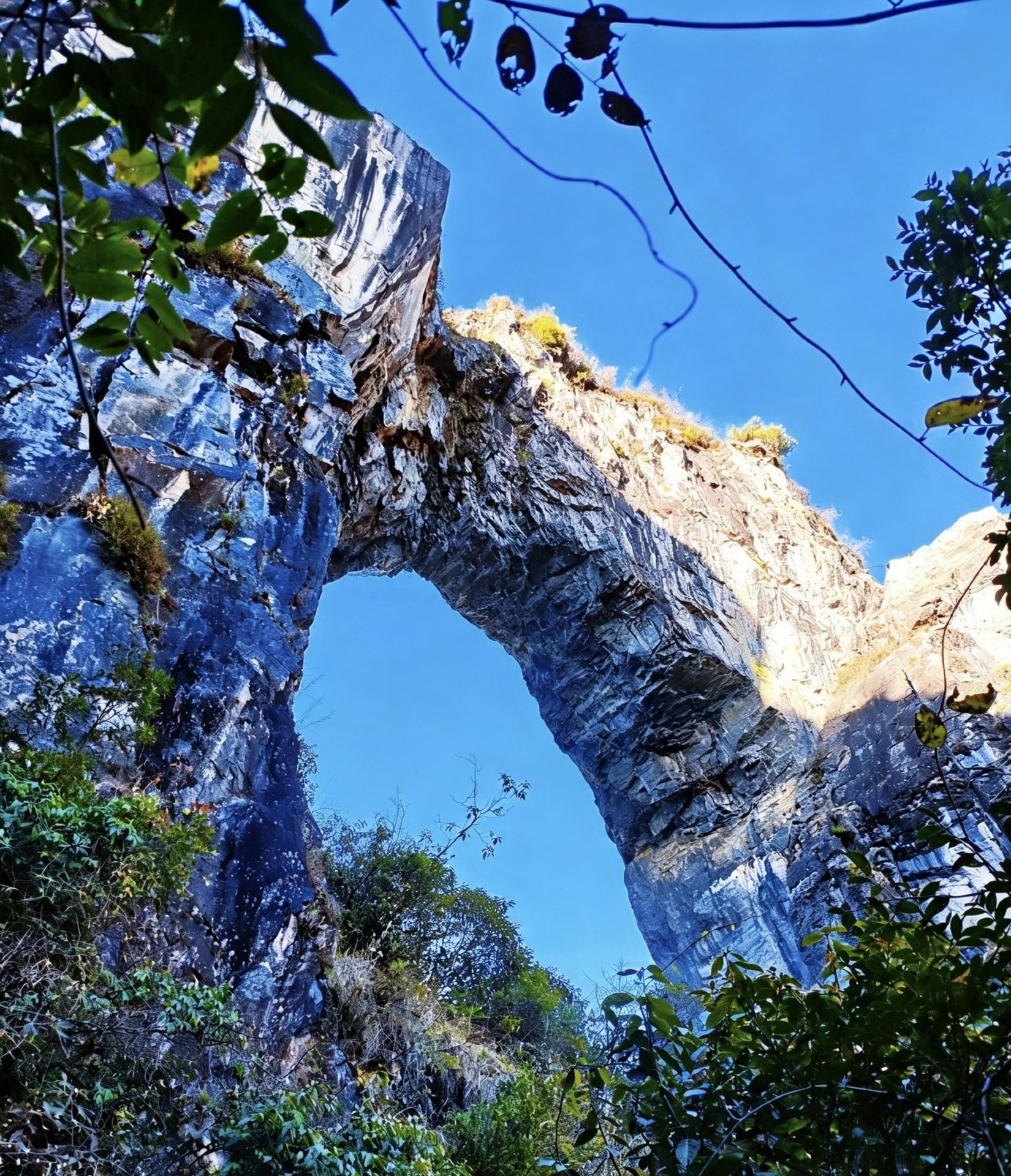 Driving to the Yangpo Pioneer Bookstore, its unique crossbow-shaped building nestled halfway up the mountain, with panoramic floor-to-ceiling windows facing the rushing Nujiang River, distant mountains shrouded in mist, and the river breeze gently rustling through the pages of the book.