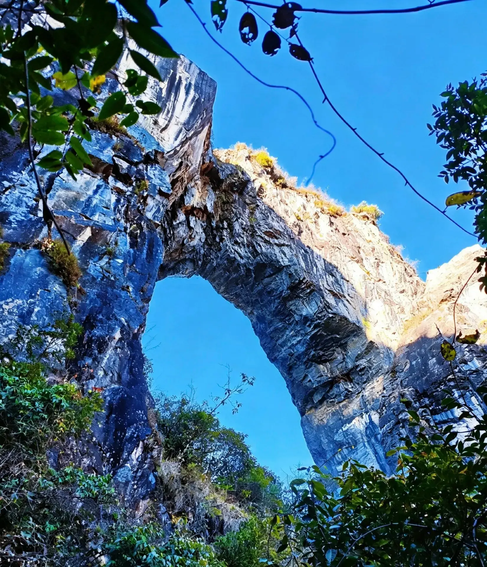 驅車前往陽坡先鋒書店，獨特弓弩造型建築嵌於半山，全景落地窗直面奔流的怒江，遠山雲霧繚繞，江風伴書頁輕