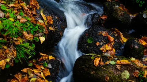 Yichun Wuying National Forest Park | Easy hiking route guide — traveler post in Heilongjiang