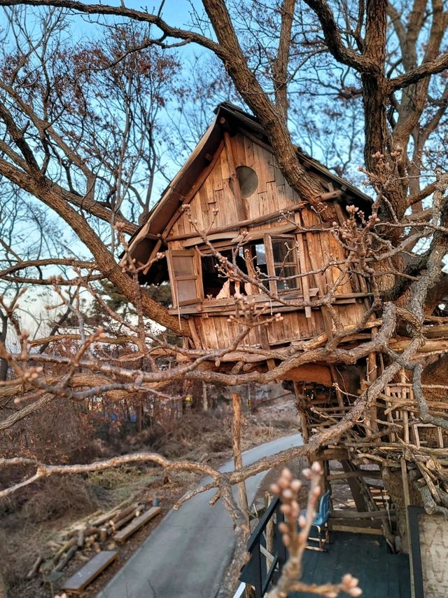 지브리 감성 한가득, 동화속 오두막집이 있는곳🏡