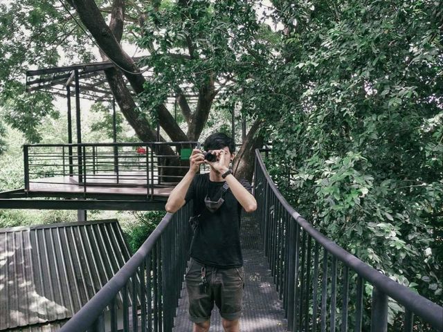 ในป่าคาเฟ่