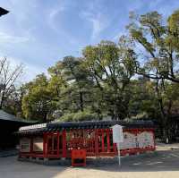 【福岡　箱崎】筥崎宮で銭洗い御神水