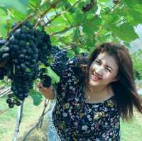 ไร่องุ่นกรานมอนเต้
