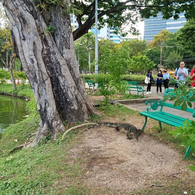 เดินชิวเที่ยวสวนลุมพินี สวนสวยกลางกรุง