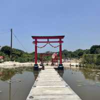 春夏季賞花好去處