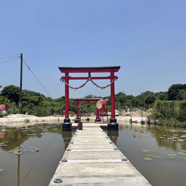 春夏季賞花好去處