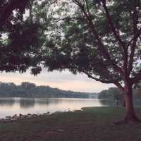 Lower Peirce in Cloudy Conditions…
