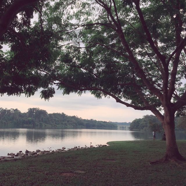 Lower Peirce in Cloudy Conditions…