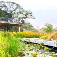 🏞️ปอดกลางกรุง