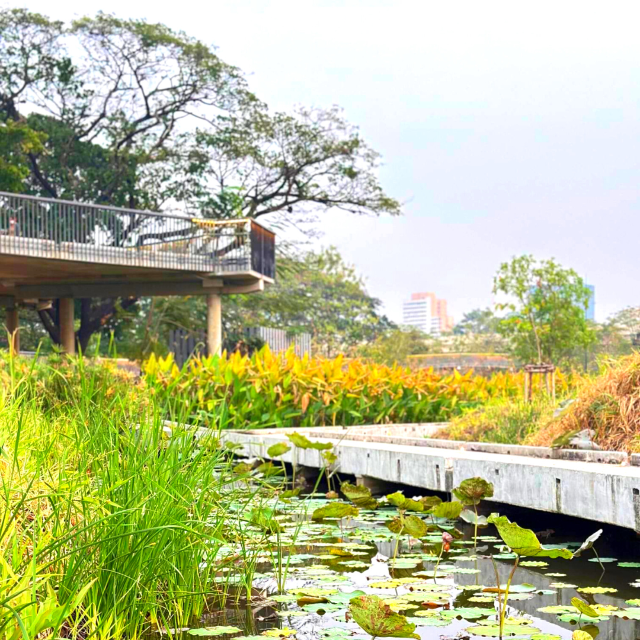 🏞️ปอดกลางกรุง