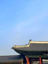 창덕궁 구석구석 알아보기/꿀팁/입장료/무료입장하는 법