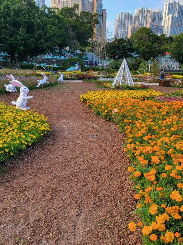 傳統景點加入新景象~龍環葡韻景區