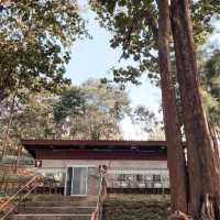 อุทยานแห่งชาติคลองวังเจ้า ⛰️🏕️