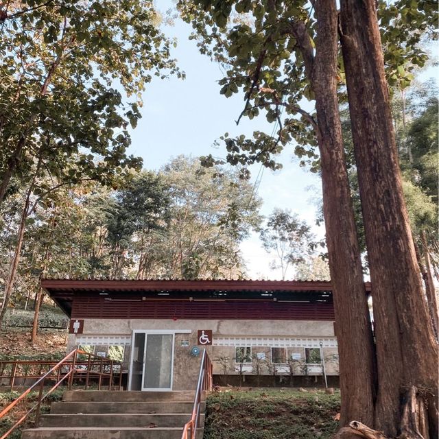 อุทยานแห่งชาติคลองวังเจ้า ⛰️🏕️