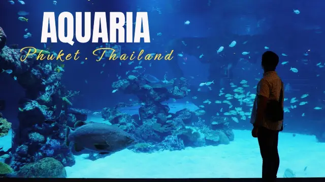 Aquaria Phuket 