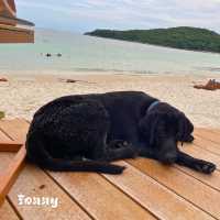 🕯️แสงเทียนบีช รีสอร์ท in เสม็ด🏝️