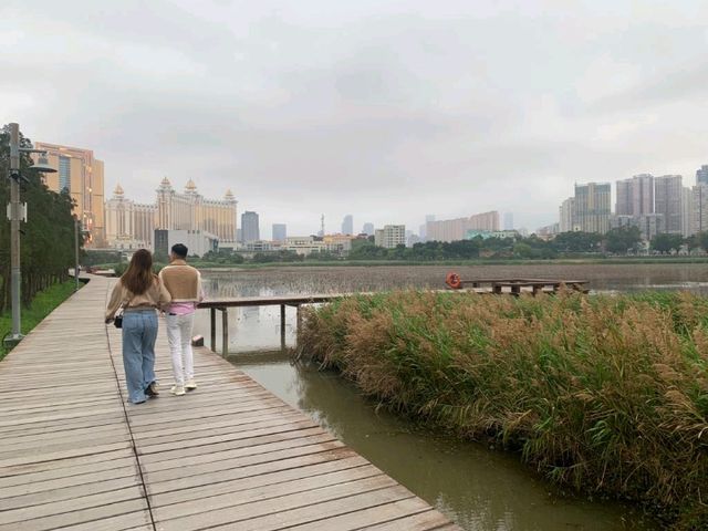 一望無際的“”龍環葡韻濕地” 澳門免費景點 