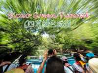 นั่งเรือชมป่าโกงกาง ไถหนาน