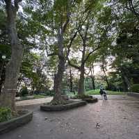 【横浜】夕方の港の見える丘公園で紫陽花散策