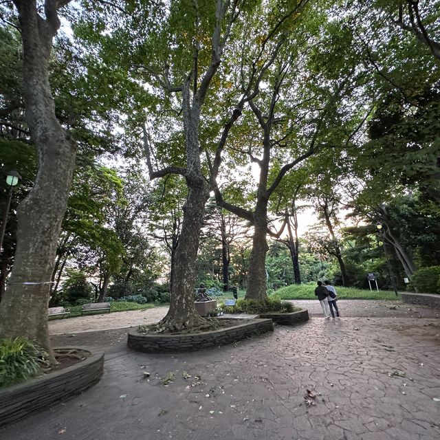 【横浜】夕方の港の見える丘公園で紫陽花散策