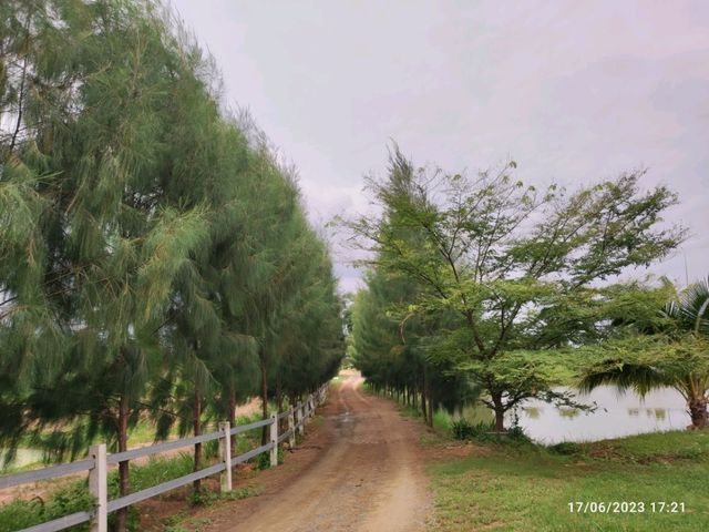 ฟาร์มเกษตรพันธุ์ดี