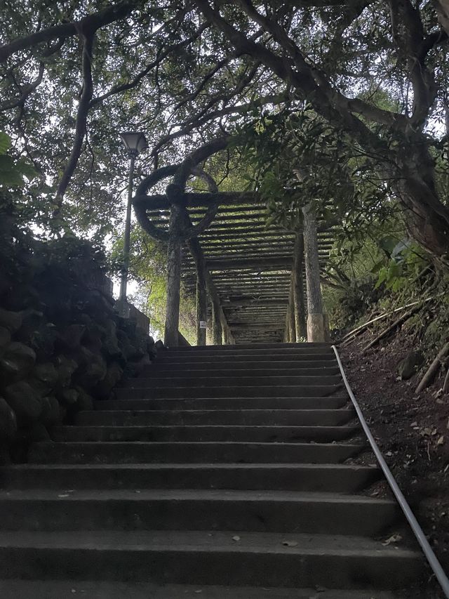 陽明山｜大屯瀑布區步道